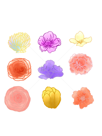 九种花卉线条