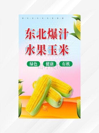 蔬菜玉米海报