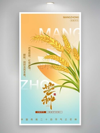 芒种时节麦穗成熟简约节气海报设计
