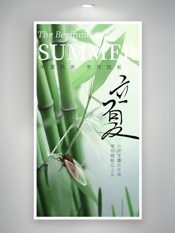 清新竹子背景夏蝉元素立夏节气海报
