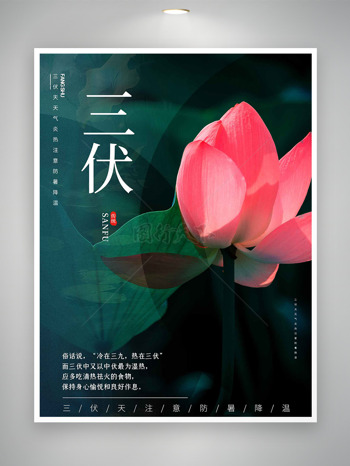 美丽粉色荷花摄影图背景三伏天海报