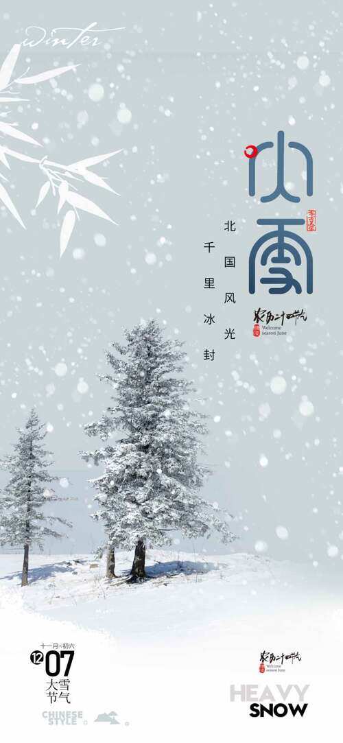 简约户外雪景大雪传统节气海报